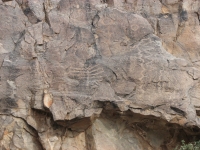 King Canyon Petroglyphs